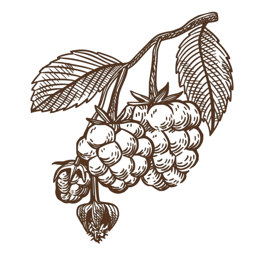 berry-thcp