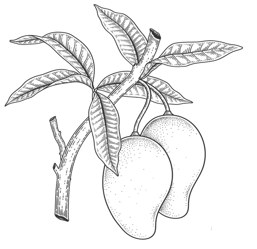 thcp-mango