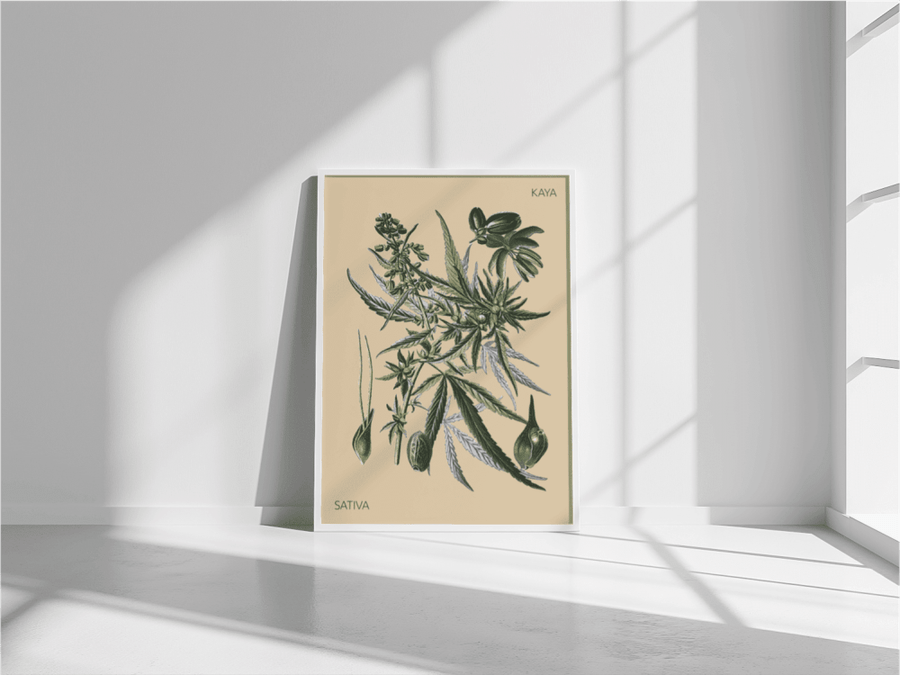 famele plant hemp sativa