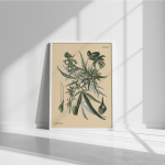 famele plant hemp sativa