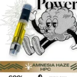 refil-amnesia-hpc