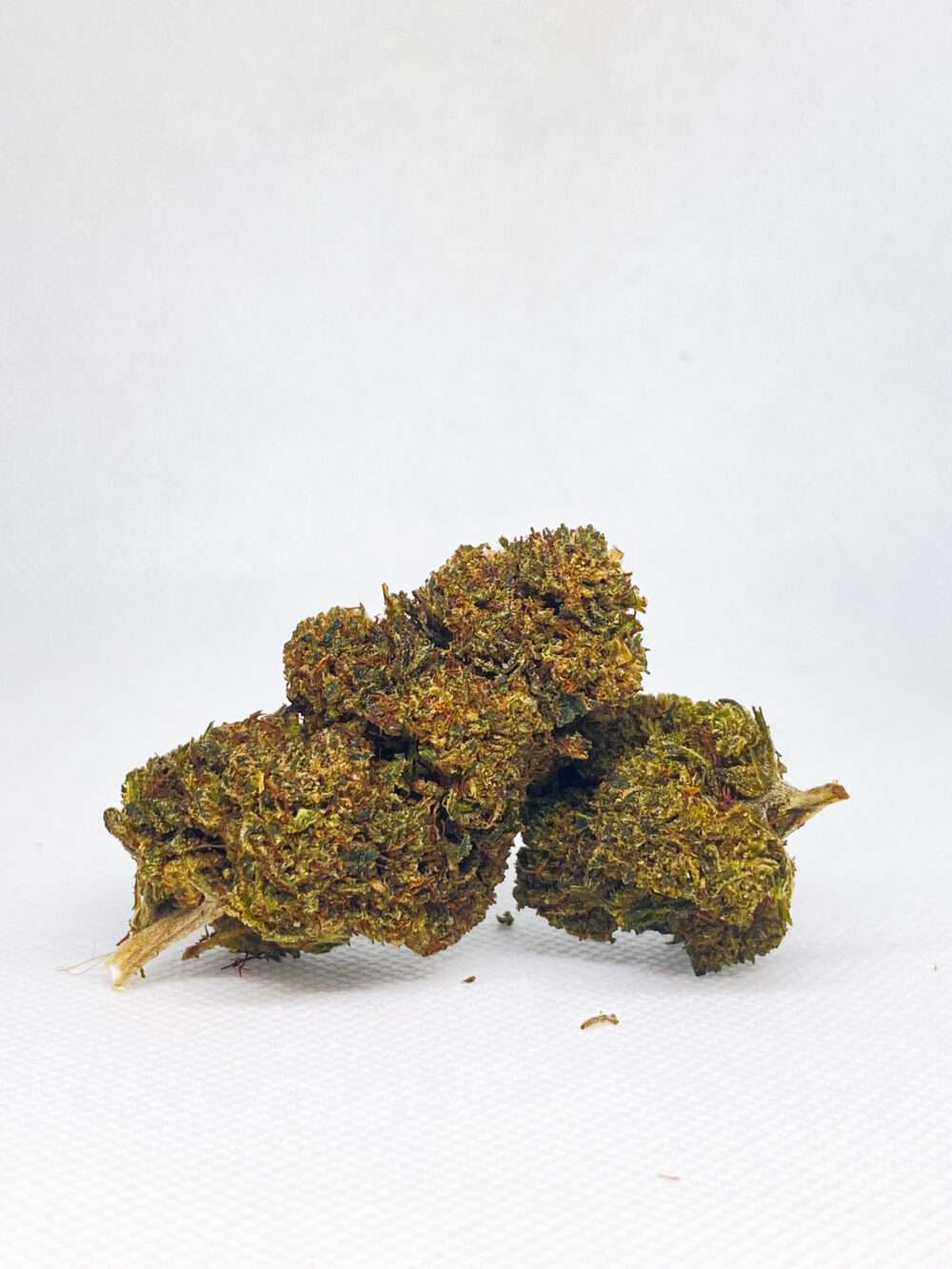 flores-oh-10 (2)
