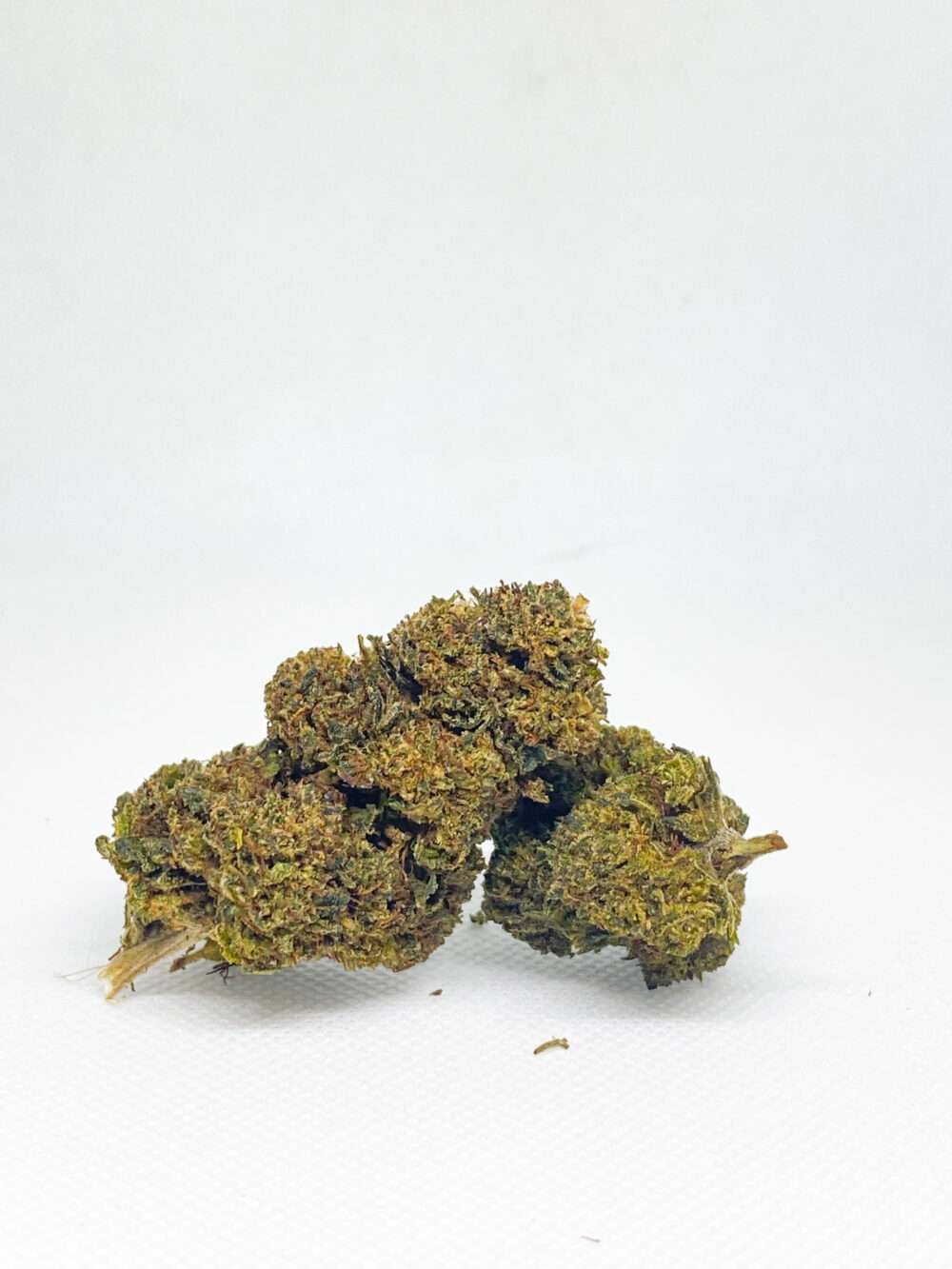 flores-oh-10 (2)