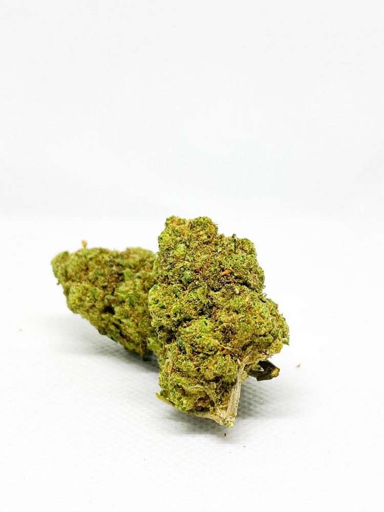 erva-flor-hpc-hhc-thc