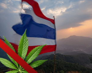thai-forbiden-canabis