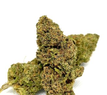 Pineapple – Gran Buds Premium | Super Flavors
