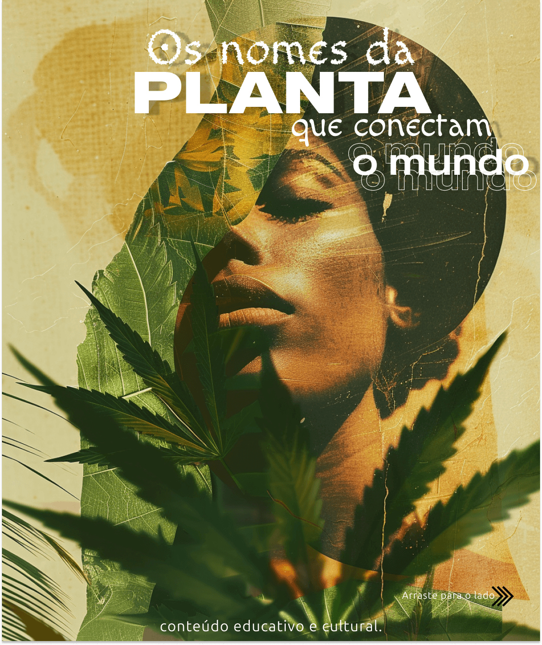 A Cannabis e os Seus Mil Nomes: Uma Viagem Global pelas Origens e Usos da Planta Milenar