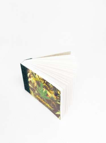 Multitrance Amsterdam Original – XXL filtros de cartão | 40mm x 60mm