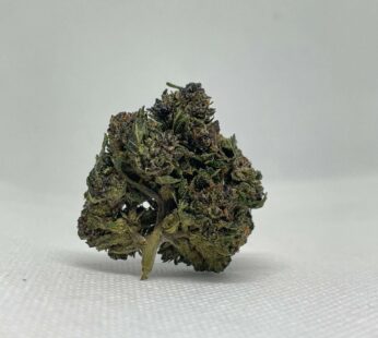 Flor aromática de cânhamo tratada com HPC – Perfil floral e profundo