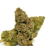 Pineapple CBD – Gran Buds Premium | Super Flavors