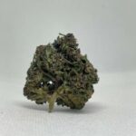 Flor Premium Manga Rosa Skunk – CANHAMO INDUSTRIAL
