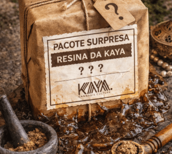 Resina CBD Surpresa – 2G (PREMIUM QUALITY)