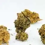 banana-kush-cbd-portugal