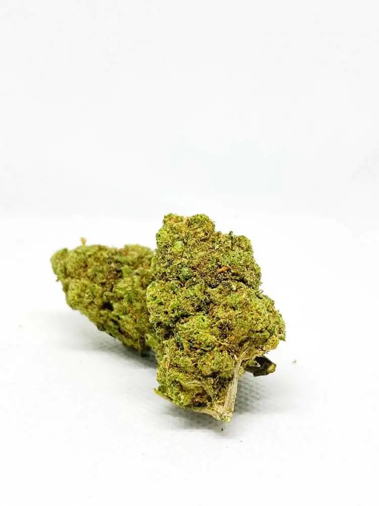 erva-flor-hpc-hhc-thc