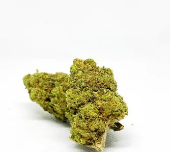 Flor HPC – Amnesia Haze – 30% HPC